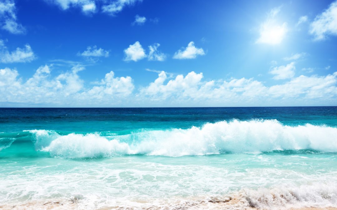 Make your Beach Day SAFE!