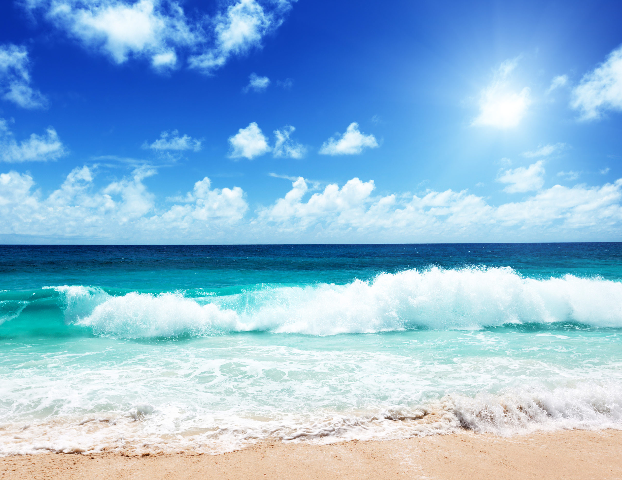 Beach with a big ocean wave Beach with a big ocean wave