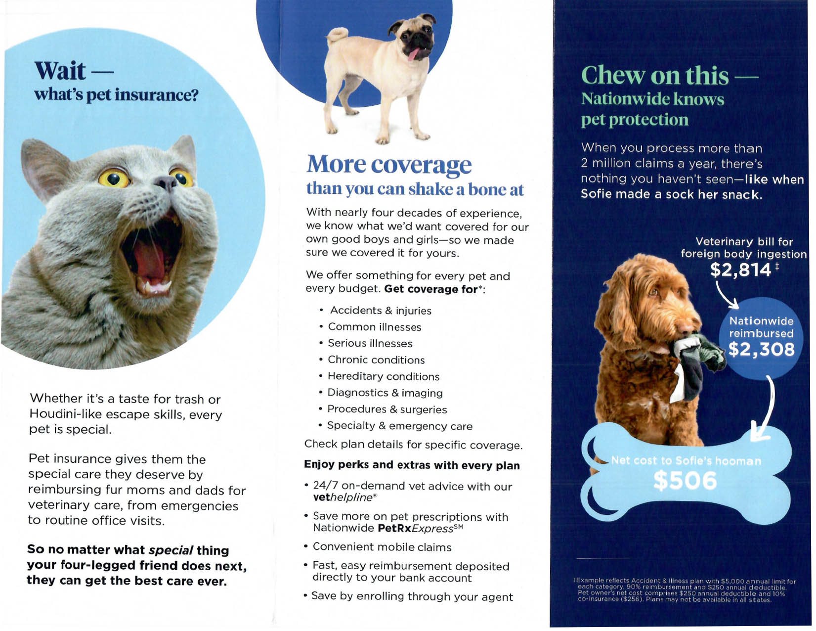 Pamphlet about Pet Insurance