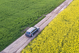 Auto Insurance - https://www.neofesinsurance.com/