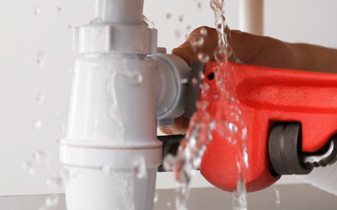 Is It an Insurance Claim or a Home Maintenance Task?