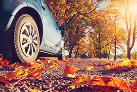 Colorful autumn leaves scattered on the ground beside a parked car. Colorful autumn leaves scattered on the ground beside a parked car.